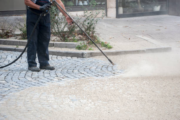 Best Animal Enclosure Cleaning  in Lithia Springs, GA